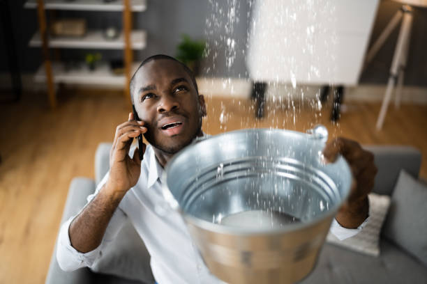 Best 24-hour water damage restoration  in Laurel Hill, VA