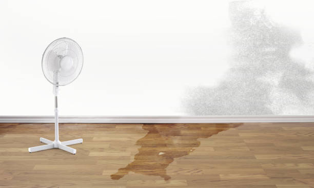 Best Water damage restoration near me  in Laurel Hill, VA
