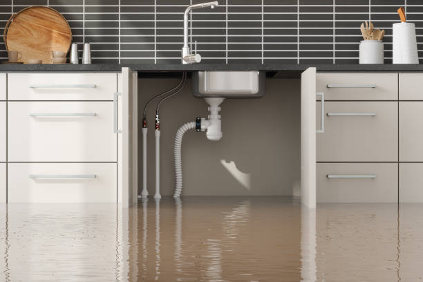 Best Water damage restoration cost  in Laurel Hill, VA